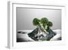 Broccoli FreshSplash-Steve Gadomski-Framed Photographic Print