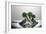 Broccoli FreshSplash-Steve Gadomski-Framed Photographic Print