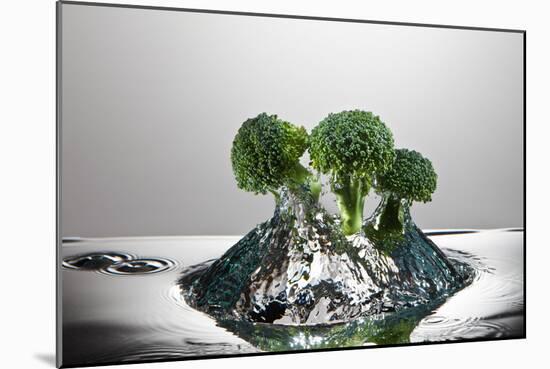 Broccoli FreshSplash-Steve Gadomski-Mounted Photographic Print