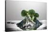 Broccoli FreshSplash-Steve Gadomski-Stretched Canvas