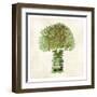 Broccoli-Kristin Emery-Framed Art Print