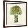 Broccoli-Kristin Emery-Framed Art Print