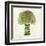 Broccoli-Kristin Emery-Framed Art Print