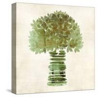 Broccoli-Kristin Emery-Stretched Canvas