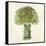 Broccoli-Kristin Emery-Framed Stretched Canvas