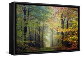 Brocéliande colored forest-Philippe Manguin-Framed Stretched Canvas