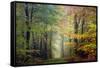 Brocéliande colored forest-Philippe Manguin-Framed Stretched Canvas