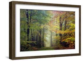 Brocéliande colored forest-Philippe Manguin-Framed Photographic Print