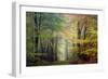 Brocéliande colored forest-Philippe Manguin-Framed Photographic Print