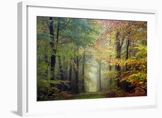 Brocéliande colored forest-Philippe Manguin-Framed Photographic Print