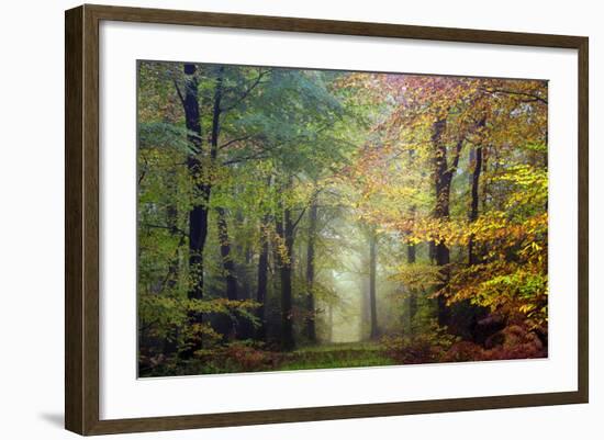 Brocéliande colored forest-Philippe Manguin-Framed Photographic Print