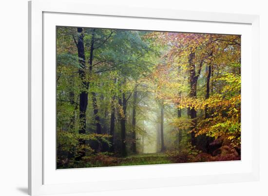 Brocéliande colored forest-Philippe Manguin-Framed Photographic Print