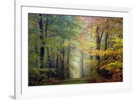 Brocéliande colored forest-Philippe Manguin-Framed Photographic Print