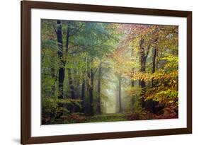 Brocéliande colored forest-Philippe Manguin-Framed Photographic Print