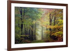 Brocéliande colored forest-Philippe Manguin-Framed Photographic Print