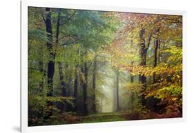 Brocéliande colored forest-Philippe Manguin-Framed Photographic Print