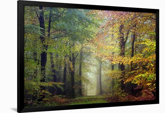 Brocéliande colored forest-Philippe Manguin-Framed Photographic Print