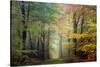 Brocéliande colored forest-Philippe Manguin-Stretched Canvas