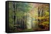 Brocéliande colored forest-Philippe Manguin-Framed Stretched Canvas