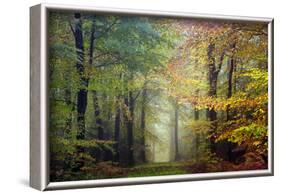 Brocéliande colored forest-Philippe Manguin-Framed Photographic Print