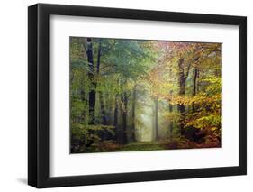 Brocéliande colored forest-Philippe Manguin-Framed Photographic Print