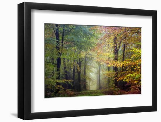 Brocéliande colored forest-Philippe Manguin-Framed Premium Photographic Print