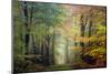 Brocéliande colored forest-Philippe Manguin-Mounted Premium Photographic Print