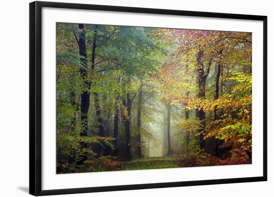 Brocéliande colored forest-Philippe Manguin-Framed Photographic Print