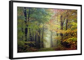 Brocéliande colored forest-Philippe Manguin-Framed Photographic Print