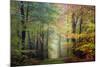 Brocéliande colored forest-Philippe Manguin-Mounted Photographic Print