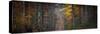 Broceliande Panoramic-Philippe Manguin-Stretched Canvas