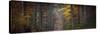 Broceliande Panoramic-Philippe Manguin-Stretched Canvas