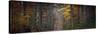 Broceliande Panoramic-Philippe Manguin-Stretched Canvas