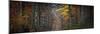 Broceliande Panoramic-Philippe Manguin-Mounted Premium Photographic Print