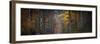 Broceliande Panoramic-Philippe Manguin-Framed Photographic Print