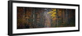 Broceliande Panoramic-Philippe Manguin-Framed Photographic Print