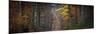 Broceliande Panoramic-Philippe Manguin-Mounted Photographic Print