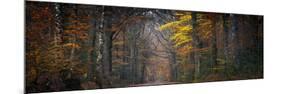 Broceliande Panoramic-Philippe Manguin-Mounted Photographic Print