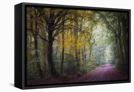 Brocéliande V-Philippe Manguin-Framed Stretched Canvas