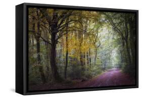 Brocéliande V-Philippe Manguin-Framed Stretched Canvas