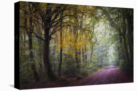 Brocéliande V-Philippe Manguin-Stretched Canvas