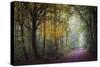 Brocéliande V-Philippe Manguin-Stretched Canvas