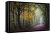 Brocéliande V-Philippe Manguin-Framed Stretched Canvas