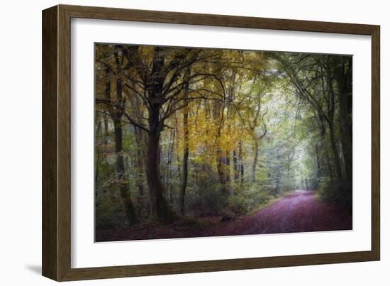 Brocéliande V-Philippe Manguin-Framed Photographic Print