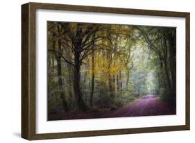 Brocéliande V-Philippe Manguin-Framed Photographic Print