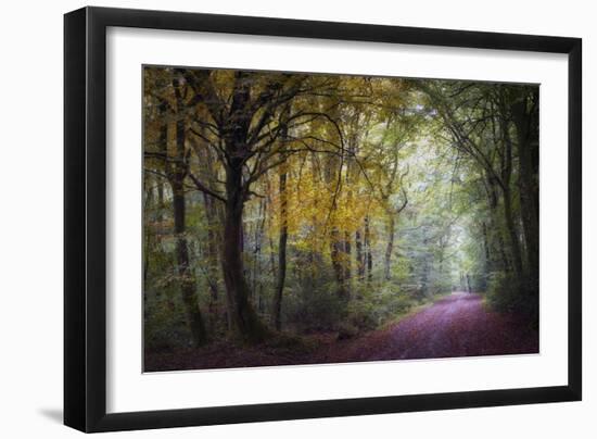 Brocéliande V-Philippe Manguin-Framed Photographic Print