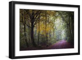 Brocéliande V-Philippe Manguin-Framed Photographic Print