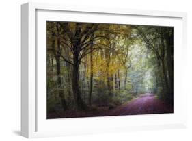 Brocéliande V-Philippe Manguin-Framed Photographic Print