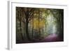 Brocéliande V-Philippe Manguin-Framed Photographic Print