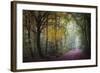 Brocéliande V-Philippe Manguin-Framed Photographic Print